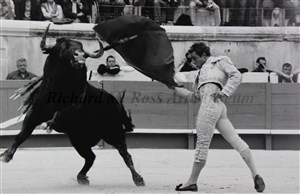 Image description is not available for 2013.070